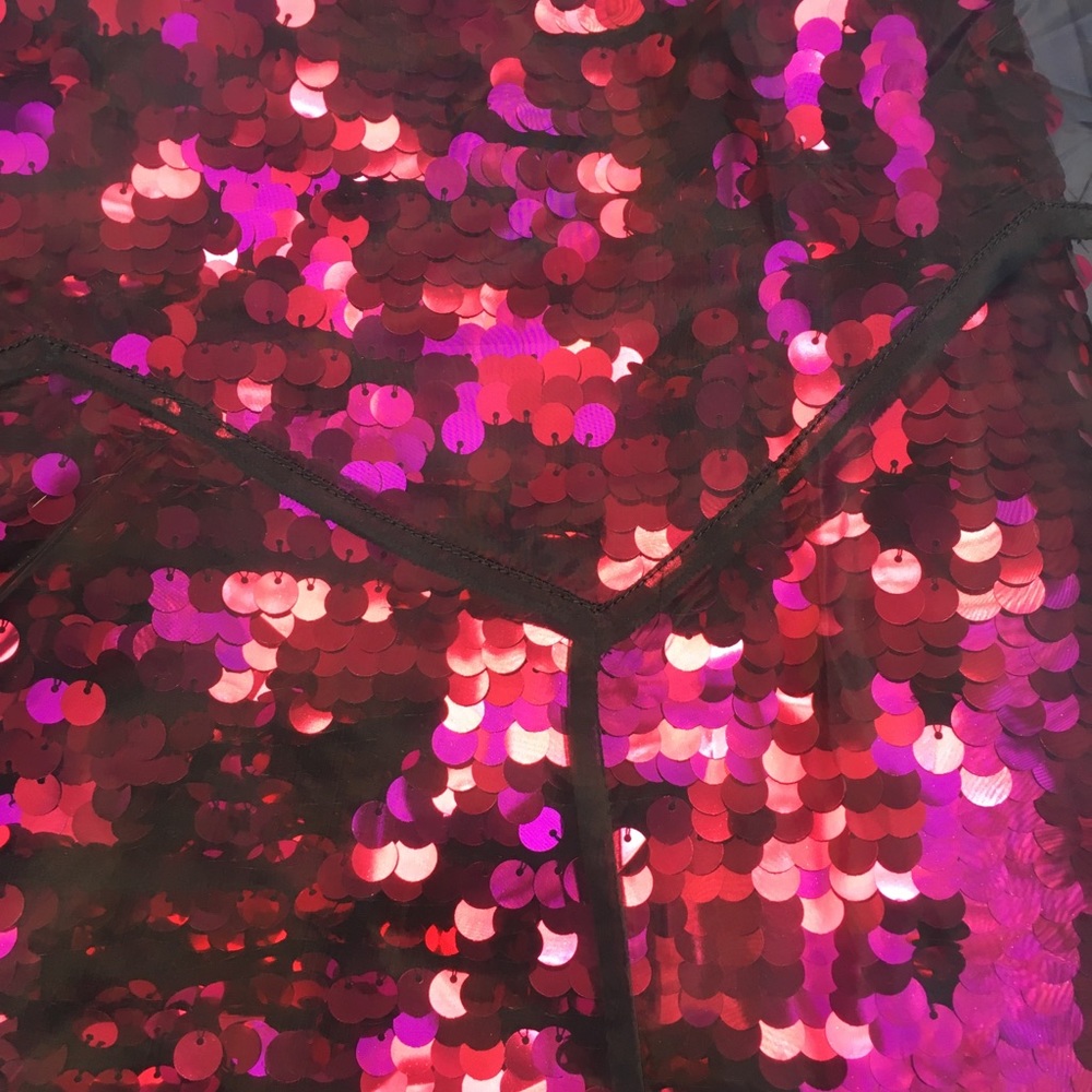 Free People Garment Pink Sequins w/ Sheer Overlap - Picture 7 of 8